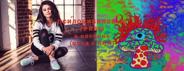 крисы Белоозёрский