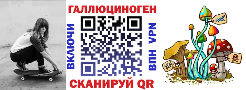 Псилоцибиновые грибы Psilocybe  Оха 